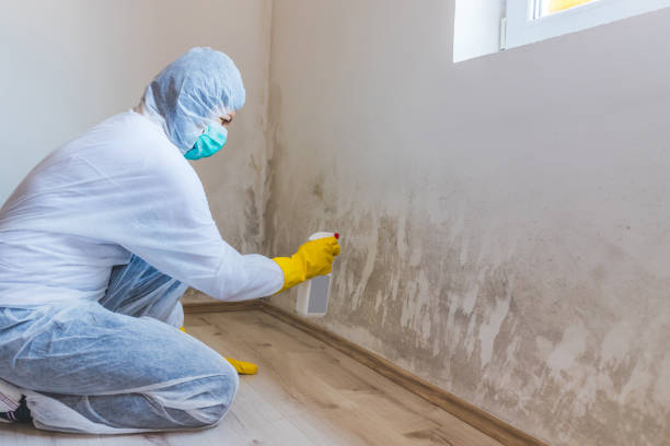Licensed Mold Removal service in Simpson, NC - WQB Mold Removal