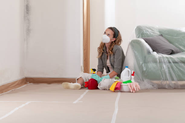Reliable Mold Removal contractor in Simpson, NC by WQB Mold Removal